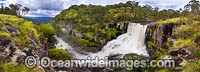 Ebor Falls Photo - Gary Bell