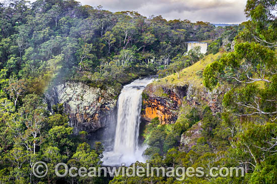 Ebor Falls photo