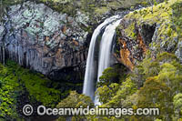 Ebor Falls Guy Fawkes River Photo - Gary Bell