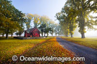 Gostwyck Chapel in Autumn Photo - Gary Bell