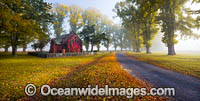 Gostwyck Chapel in Autumn Photo - Gary Bell