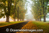 Gostwyck Chapel in Autumn Photo - Gary Bell