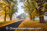 Gostwyck Chapel in Autumn Photo - Gary Bell