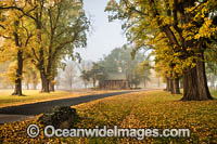 Autumn Trees Gostwyck Chapel Photo - Gary Bell