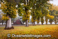 Autumn Trees Gostwyck Chapel Photo - Gary Bell