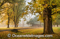Gostwyck Chapel Photo - Gary Bell
