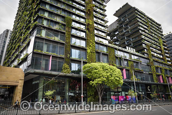 Sydney Building photo