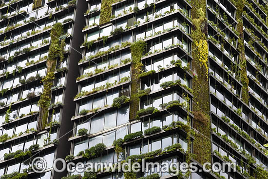 Sydney Building photo