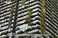 Sydney Building Photo - Gary Bell
