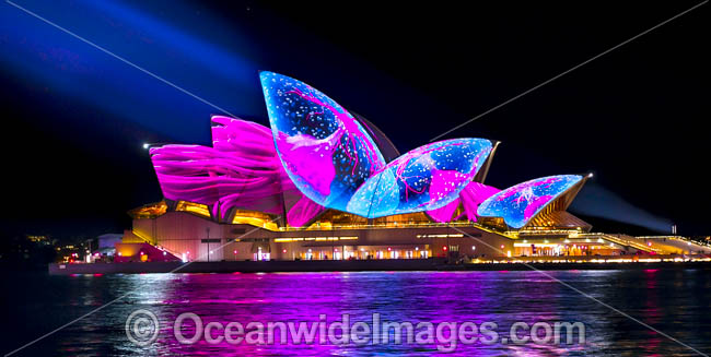 Sydney Opera House Vivid photo