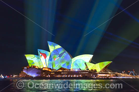 Vivid Sydney Opera House photo
