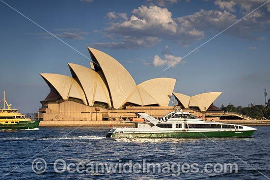 Transport Ferries Sydney photo