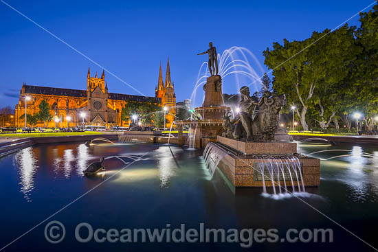 Archibald Fountain Sydney photo