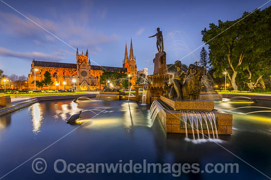 Archibald Fountain Sydney photo
