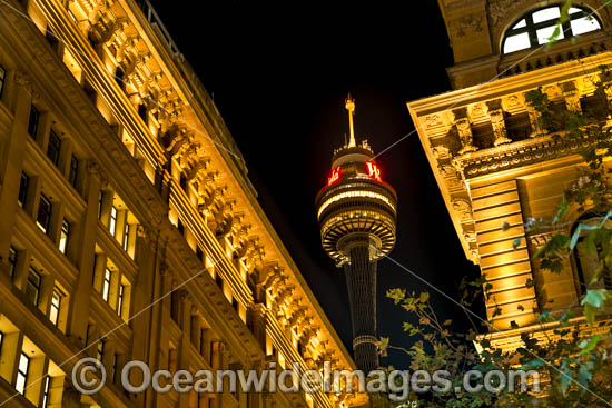 Martin Place Sydney photo