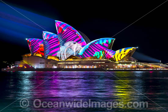 Sydney Opera House Vivid photo Sydney Opera House Vivid photo