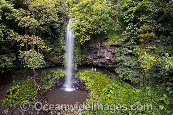 Crystal Showers Falls Dorrigo photo