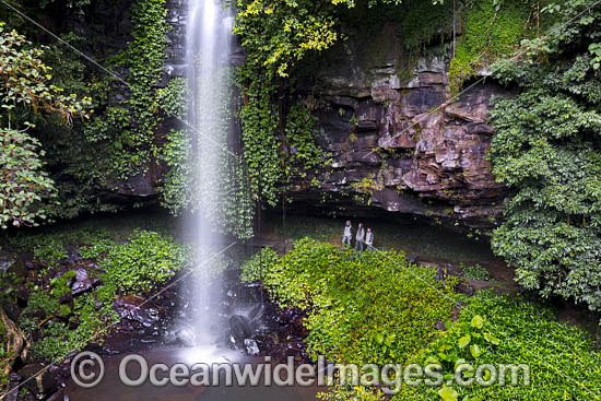 Crystal Showers Falls Dorrigo photo
