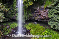 Crystal Showers Falls Dorrigo Photo - Gary Bell