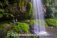 Crystal Showers Falls Dorrigo Photo - Gary Bell