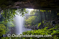 Crystal Showers Falls Dorrigo Photo - Gary Bell