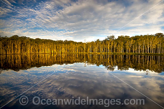 Urunga Wetland Reserve photo Urunga Wetland Reserve photo