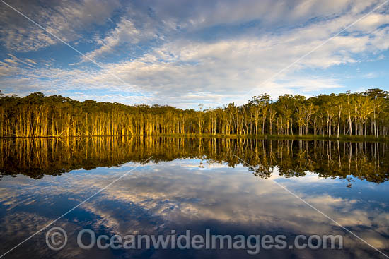 Urunga Wetland Reserve photo Urunga Wetland Reserve photo