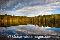Urunga Wetland Reserve Photo - Gary Bell