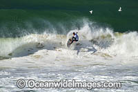 Surfing Sawtell Photo - Gary Bell