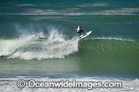 Surfing Sawtell Photo - Gary Bell