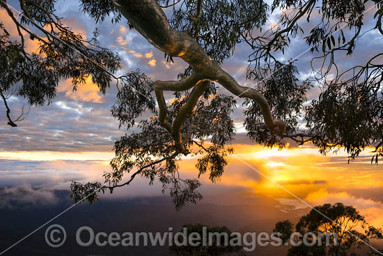 Point Lookout sunrise photo Point Lookout sunrise photo