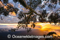 Point Lookout sunrise Photo - Gary Bell