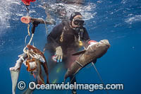 Spearfisherman with Cobia Photo - Michael Patrick O'Neill