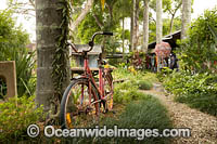 Butter Factory Bellingen Photo - Gary Bell