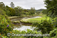 Bellinger River Photo - Gary Bell