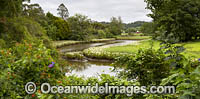 Bellinger River Photo - Gary Bell