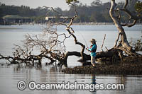Fishing at Wallis Lake Photo - Gary Bell