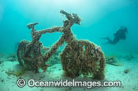 Diver and discarded push bike Photo - Gary Bell