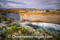 Razorback Port Campbell Photo - Gary Bell