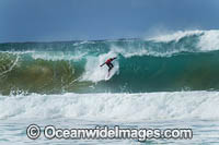 Surfer at Sawtell Photo - Gary Bell