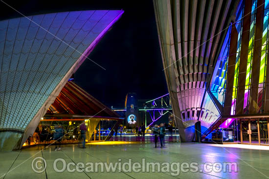 Sydney Opera House Vivid photo