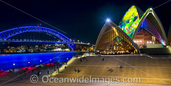 Sydney Vivid Festival photo