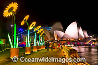 Sydney Vivid Festival Photo - Gary Bell