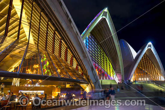Vivid Sydney photo