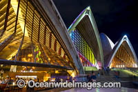 Vivid Sydney Photo - Gary Bell