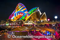Vivid Sydney Photo - Gary Bell