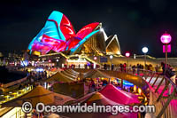 Vivid Sydney Photo - Gary Bell