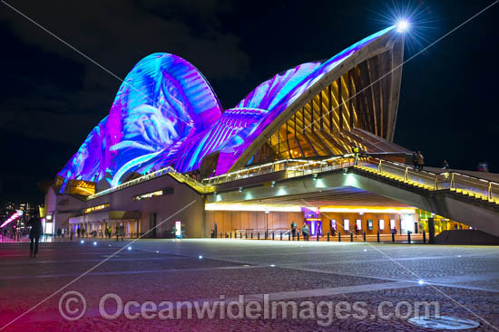 Vivid Sydney photo