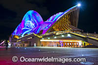 Vivid Sydney Photo - Gary Bell