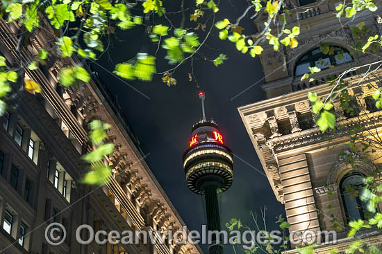 GPO Building Sydney photo
